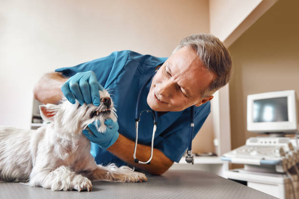 Best Emergency Tooth Extraction in Plainview, TX